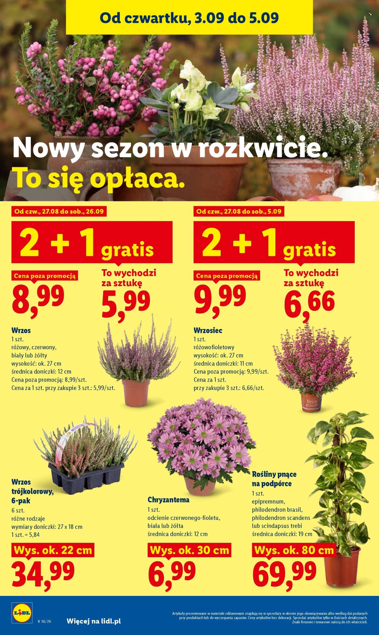 Gazetka Lidl - 3.9.2026. - 5.9.2026.. Strona 90