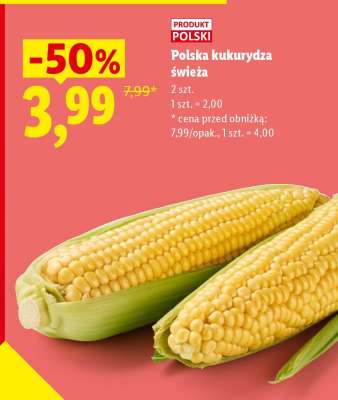 Polska kukurydza świeża