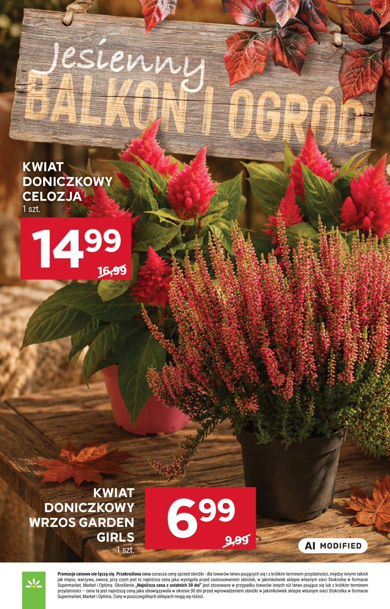 Gazetka Stokrotka Supermarket - 3.9.2026. - 9.9.2026.. Strona 56