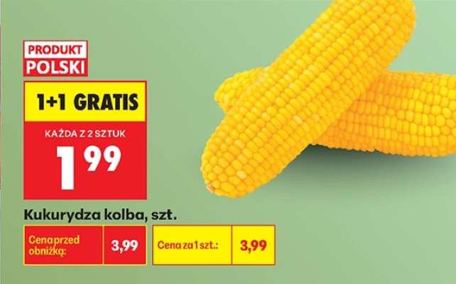 Kukurydza kolba szt