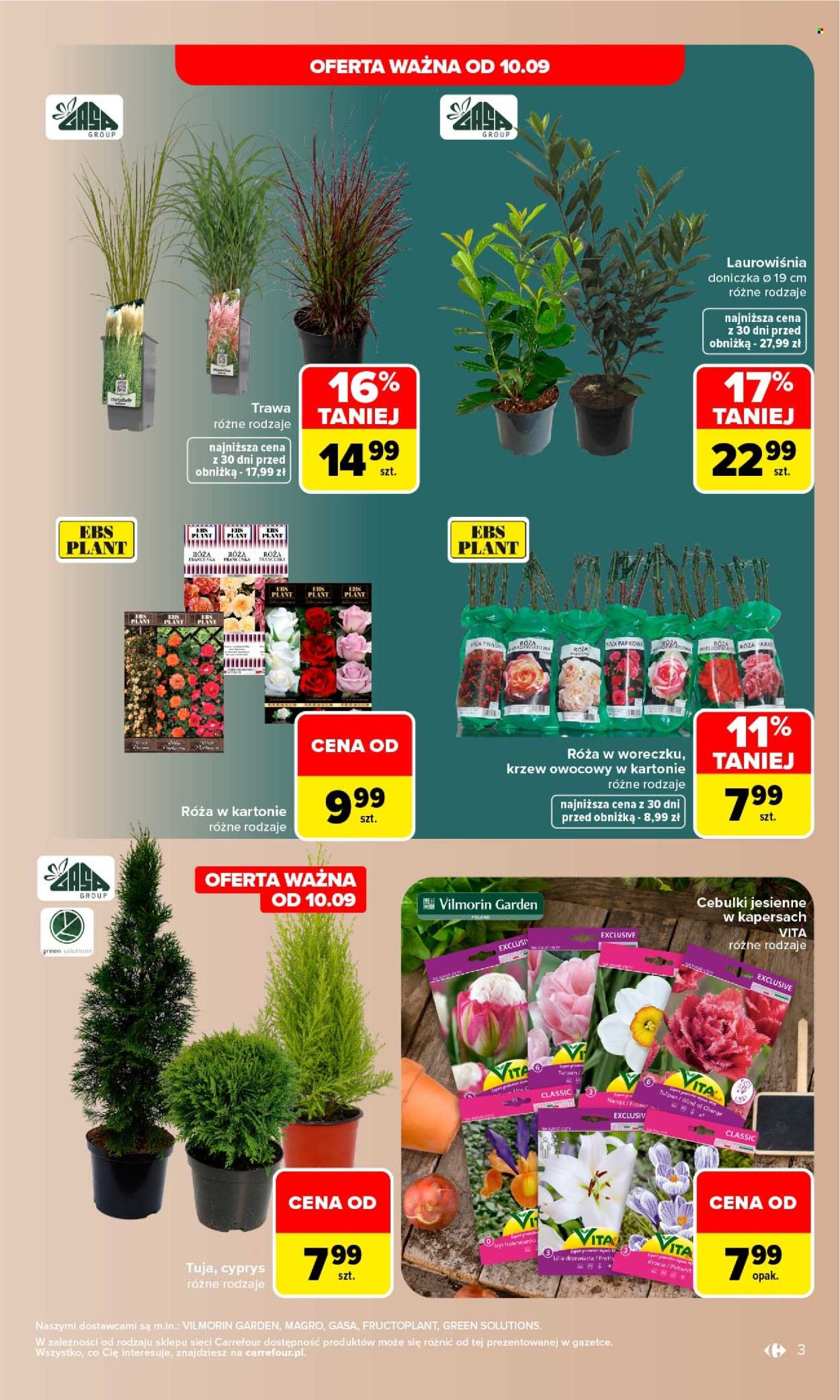 Gazetka Carrefour - 7.9.2026. - 19.9.2026.. Strona 3