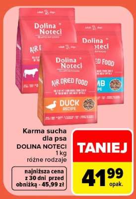Dolina Noteci