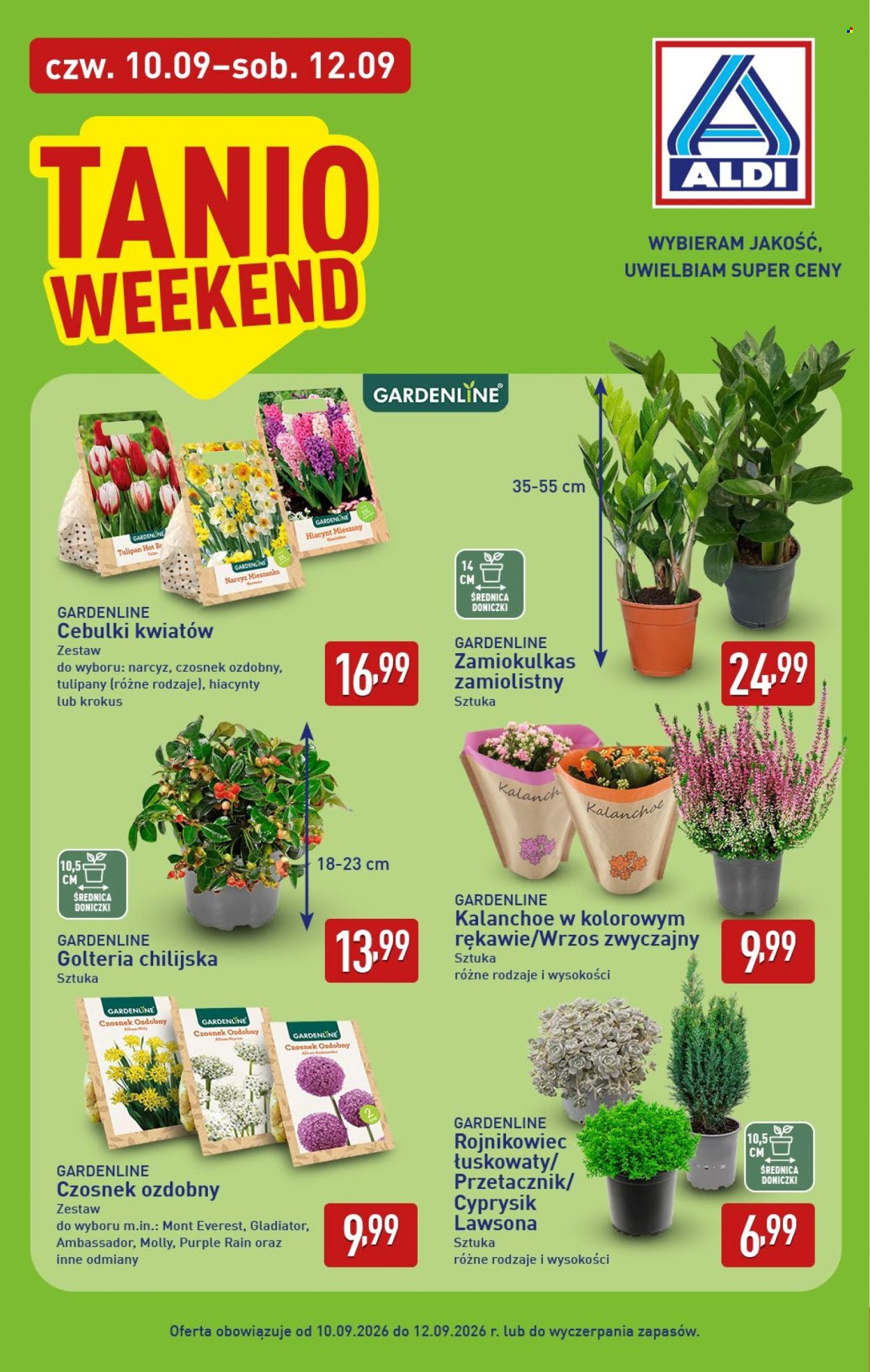 Gazetka ALDI - 7.9.2026. - 12.9.2026.. Strona 34