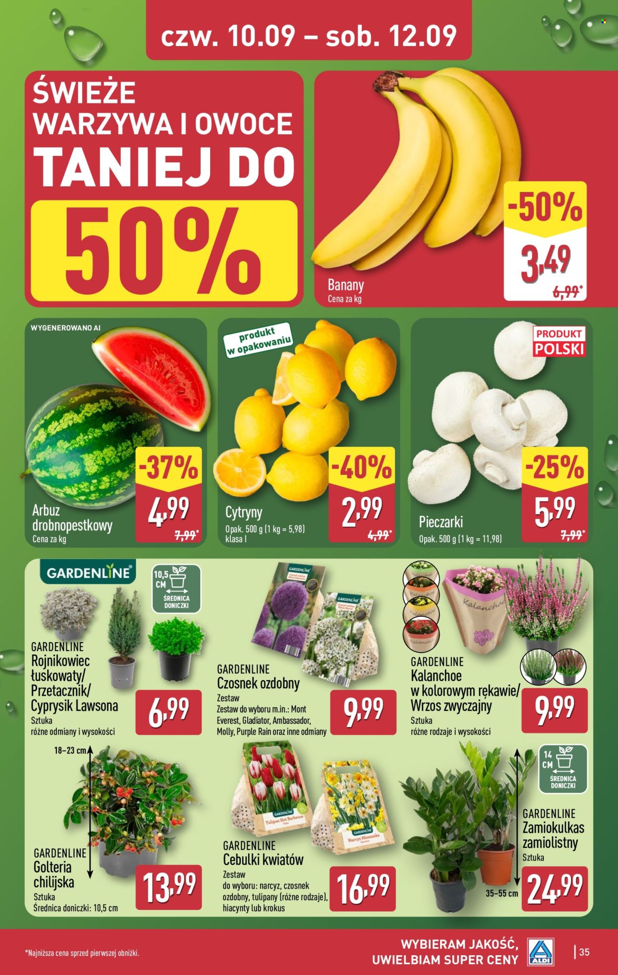 Gazetka ALDI - 7.9.2026. - 12.9.2026.. Strona 35