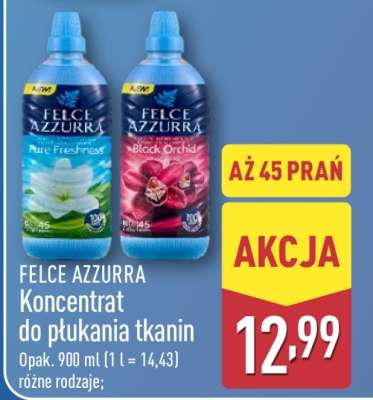 FELCE AZZURRA