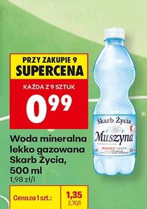 Woda mineralna lekko gazowana Skarb Życia, 500 ml