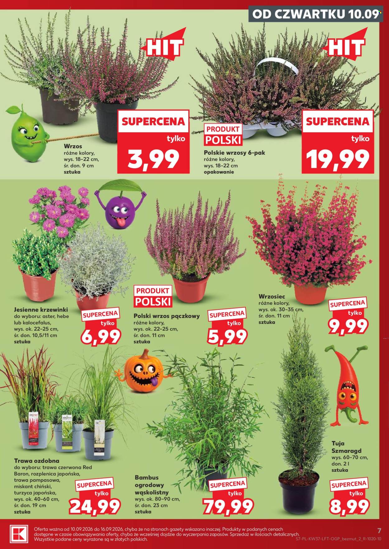 Gazetka Kaufland - 10.9.2026. - 16.9.2026.. Strona 7