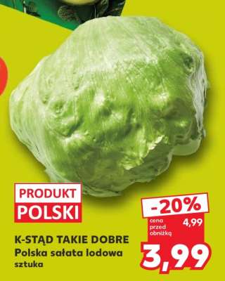 Polska sałata lodowa sztuka