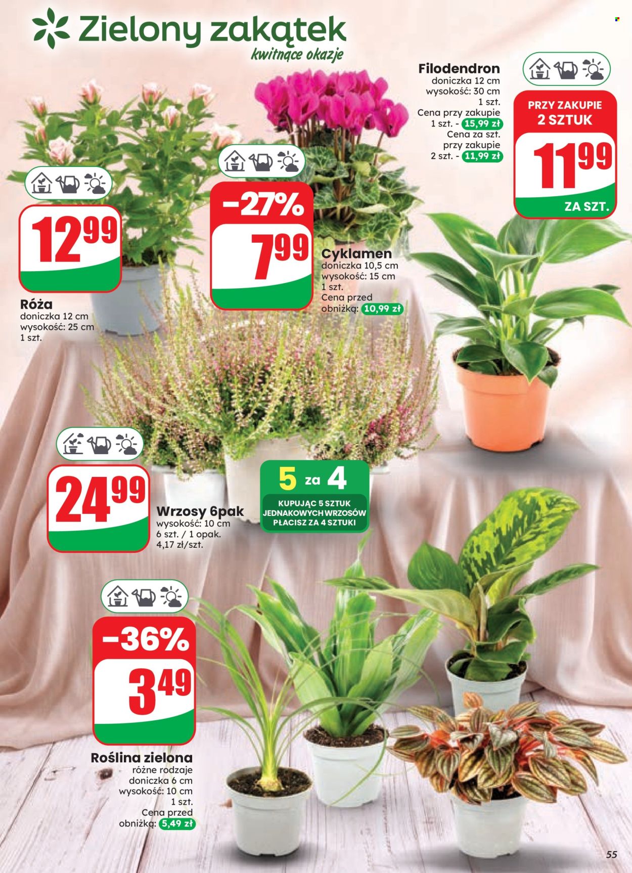 Gazetka Dino - 9.9.2026. - 15.9.2026.. Strona 55