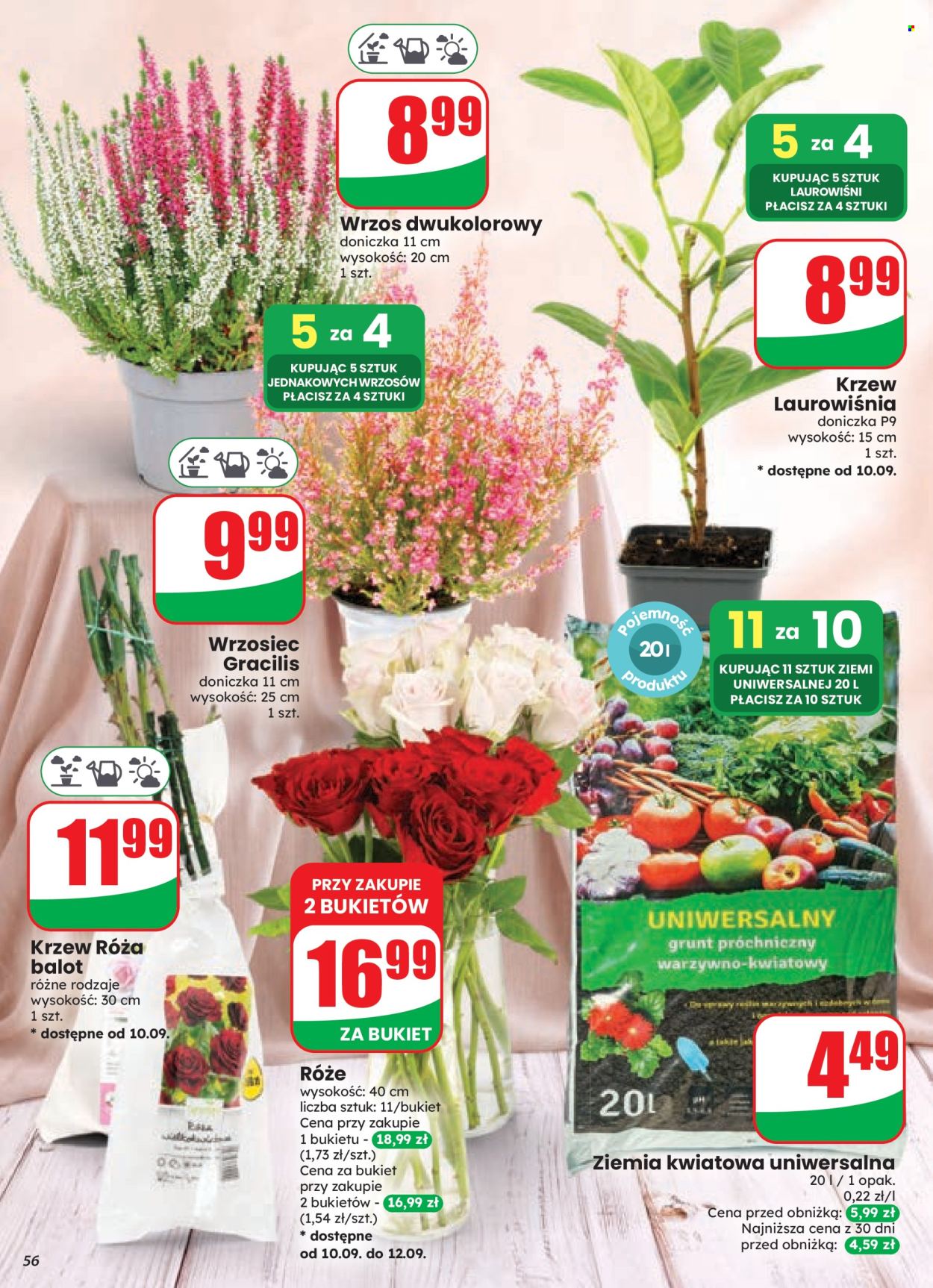 Gazetka Dino - 9.9.2026. - 15.9.2026.. Strona 56
