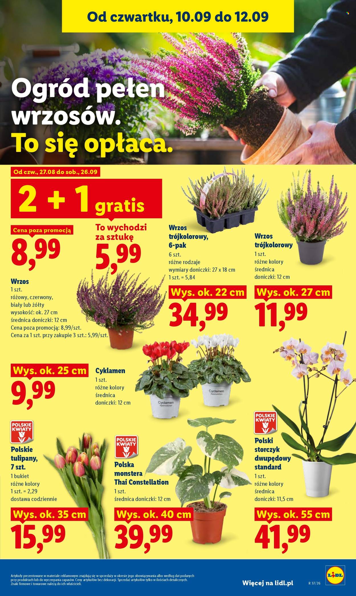 Gazetka Lidl - 10.9.2026. - 12.9.2026.. Strona 83