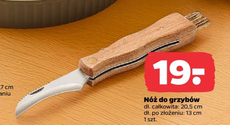 Nóż do grzybów