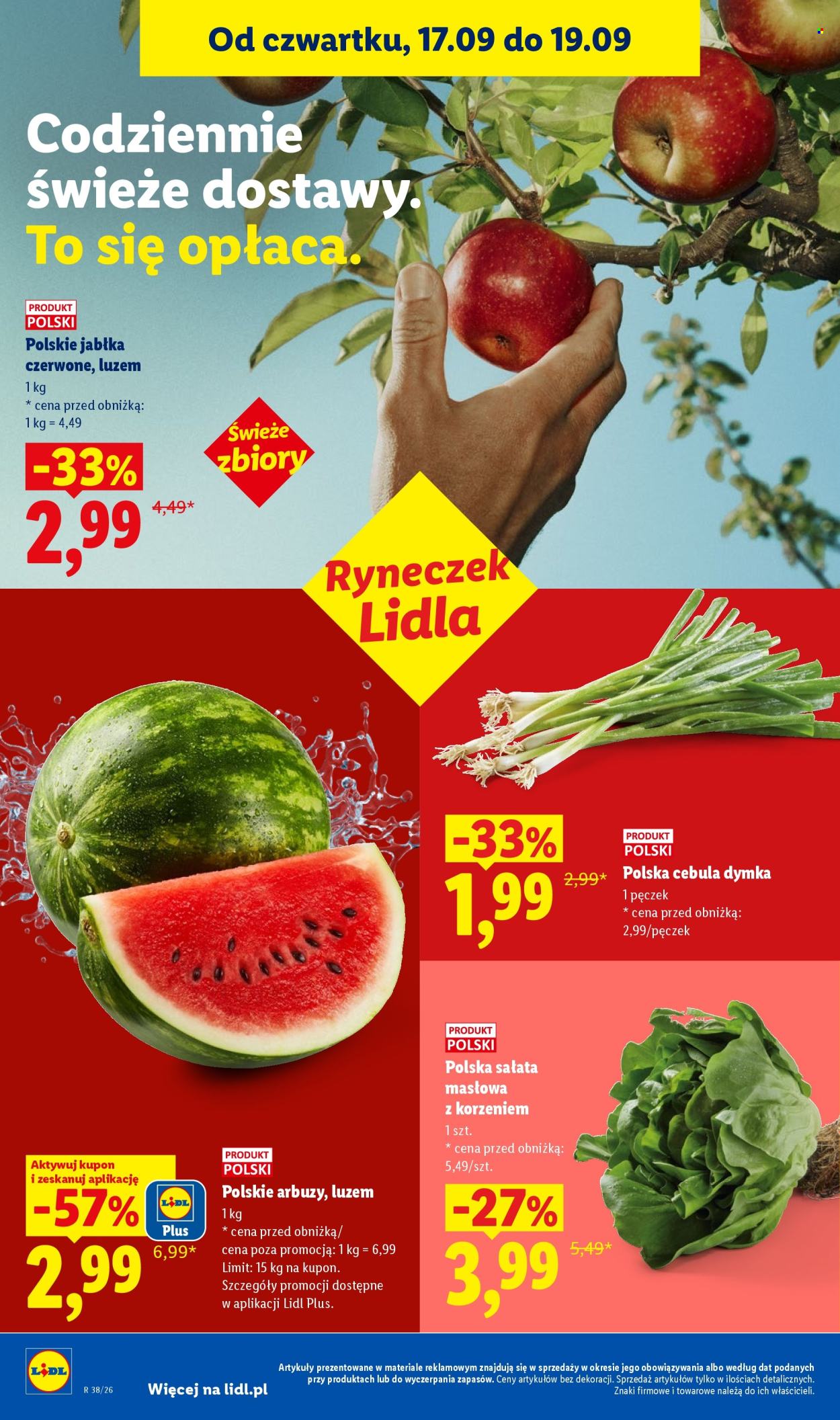 Gazetka Lidl - 17.9.2026. - 19.9.2026.. Strona 42