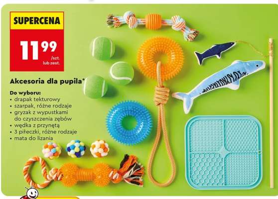 Akcesoria dla pupila