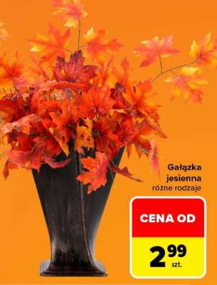 Gałązka jesienna