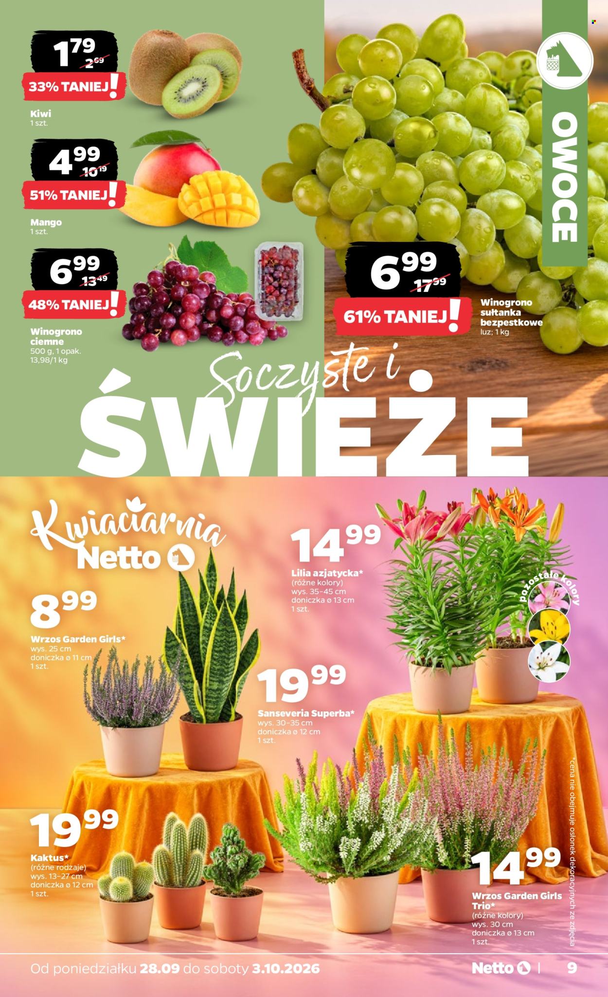 Gazetka Netto - 28.9.2026. - 3.10.2026.. Strona 9