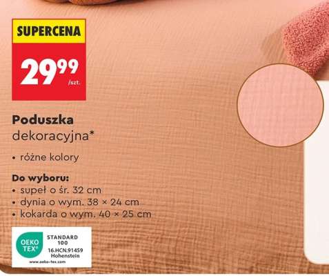 Poduszka dekoracyjna
