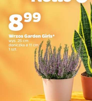 Wrzos Garden Girls