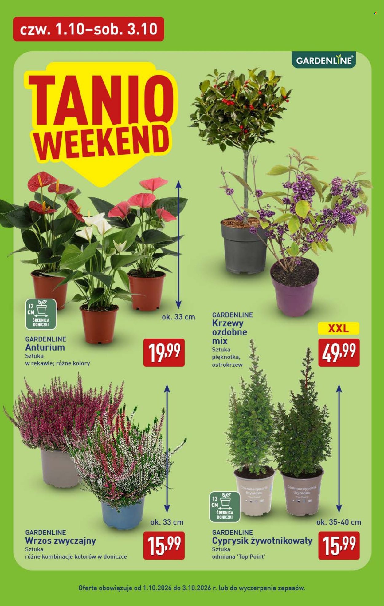 Gazetka ALDI - 28.9.2026. - 3.10.2026.. Strona 42