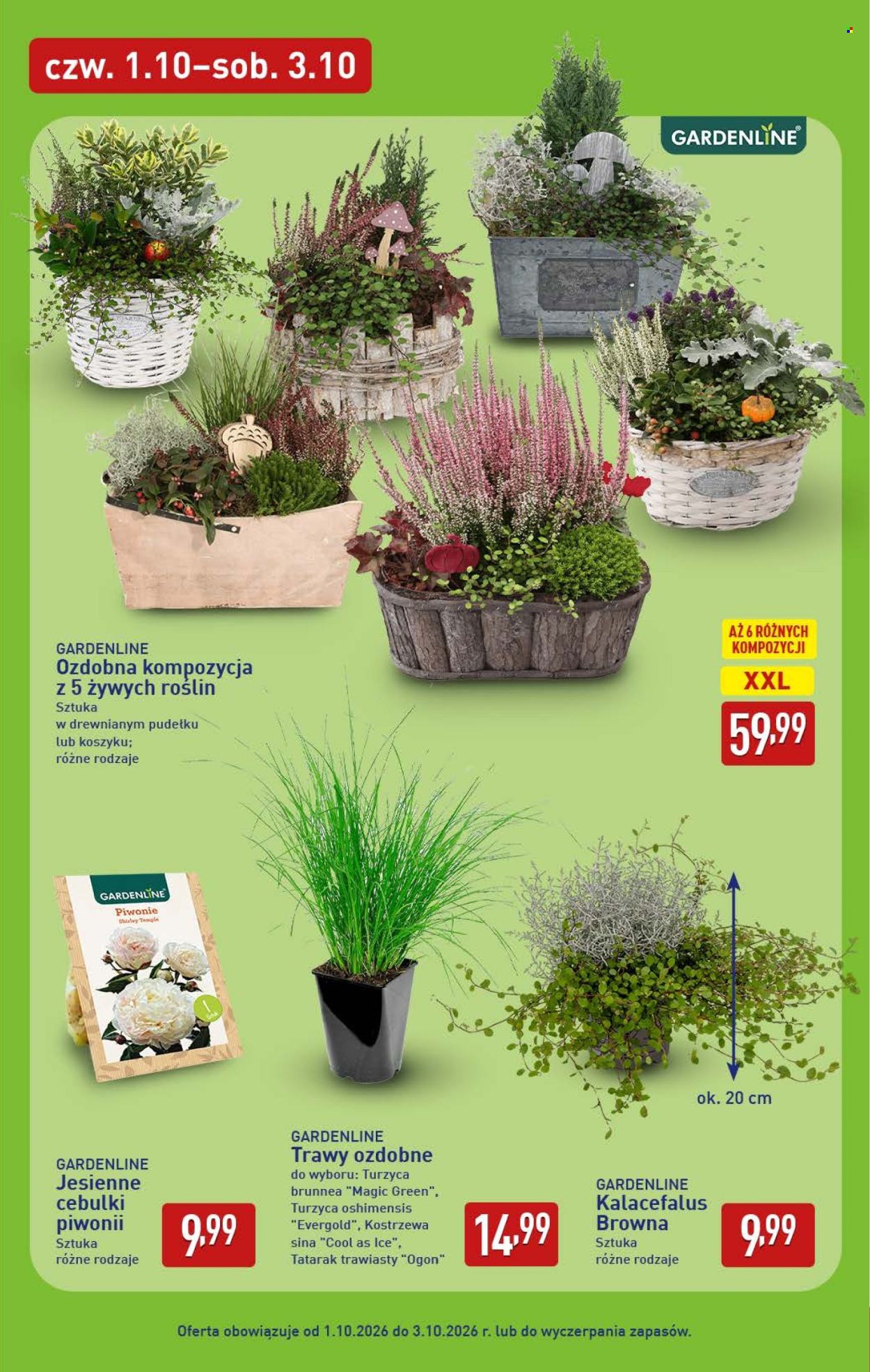 Gazetka ALDI - 28.9.2026. - 3.10.2026.. Strona 43