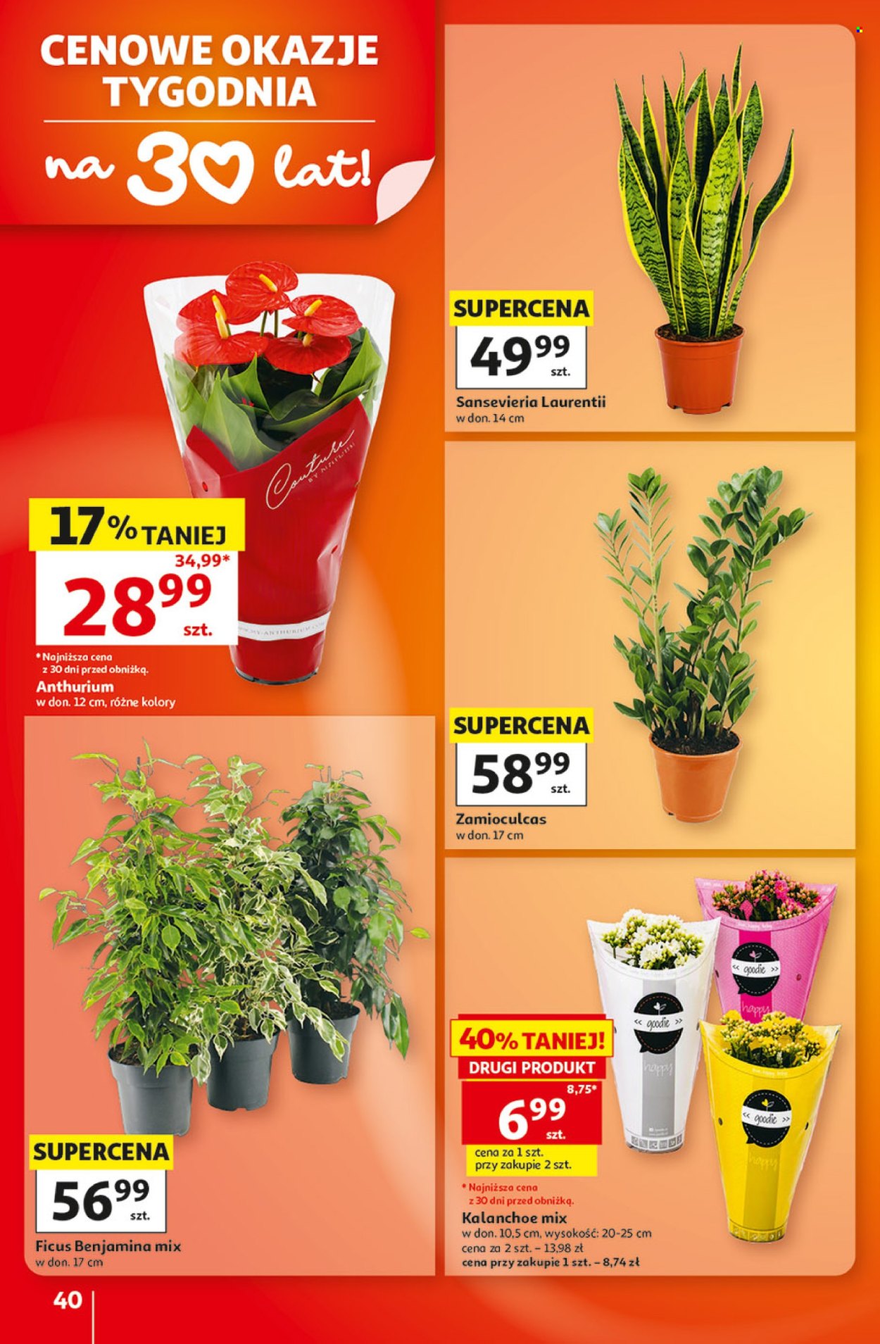 Gazetka Auchan - 1.10.2026. - 7.10.2026.. Strona 40