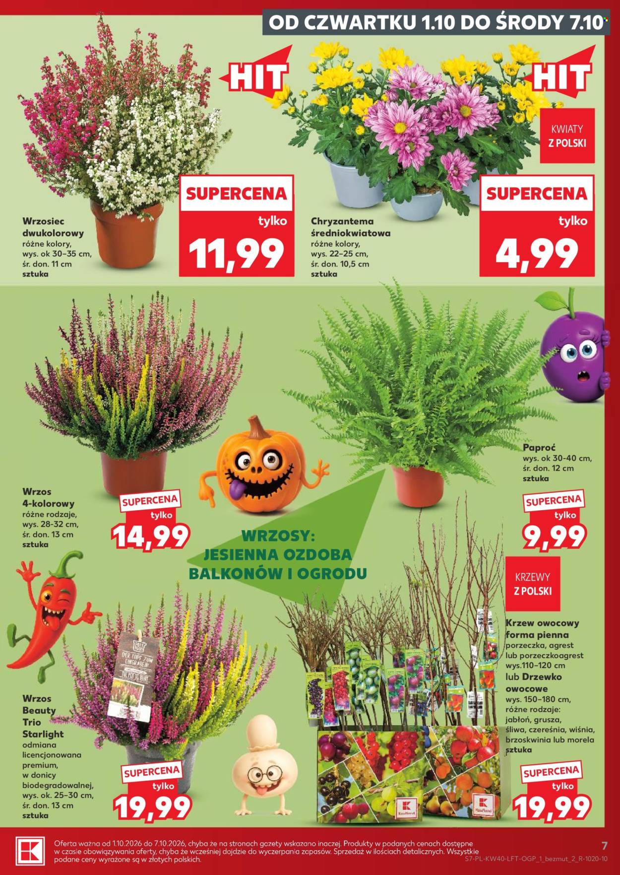 Gazetka Kaufland - 1.10.2026. - 7.10.2026.. Strona 7