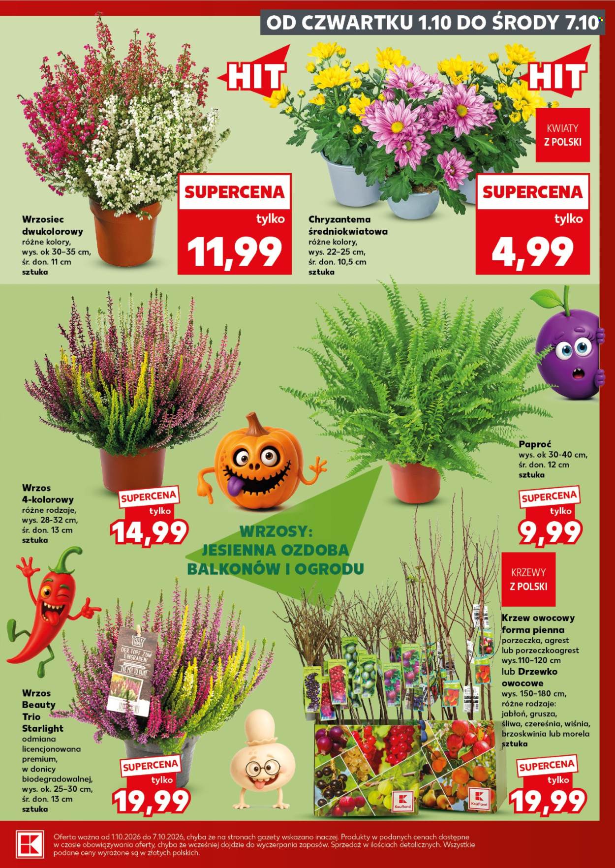 Gazetka Kaufland - 1.10.2026. - 7.10.2026.. Strona 7