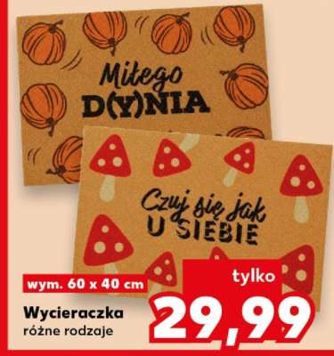 Wycieraczka