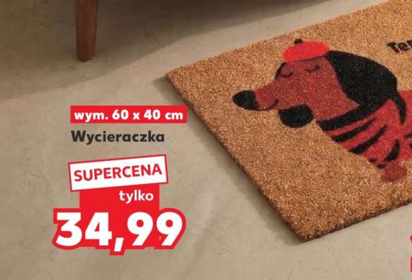 Wycieraczka