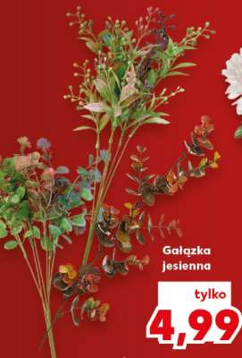 Gałązka jesienna