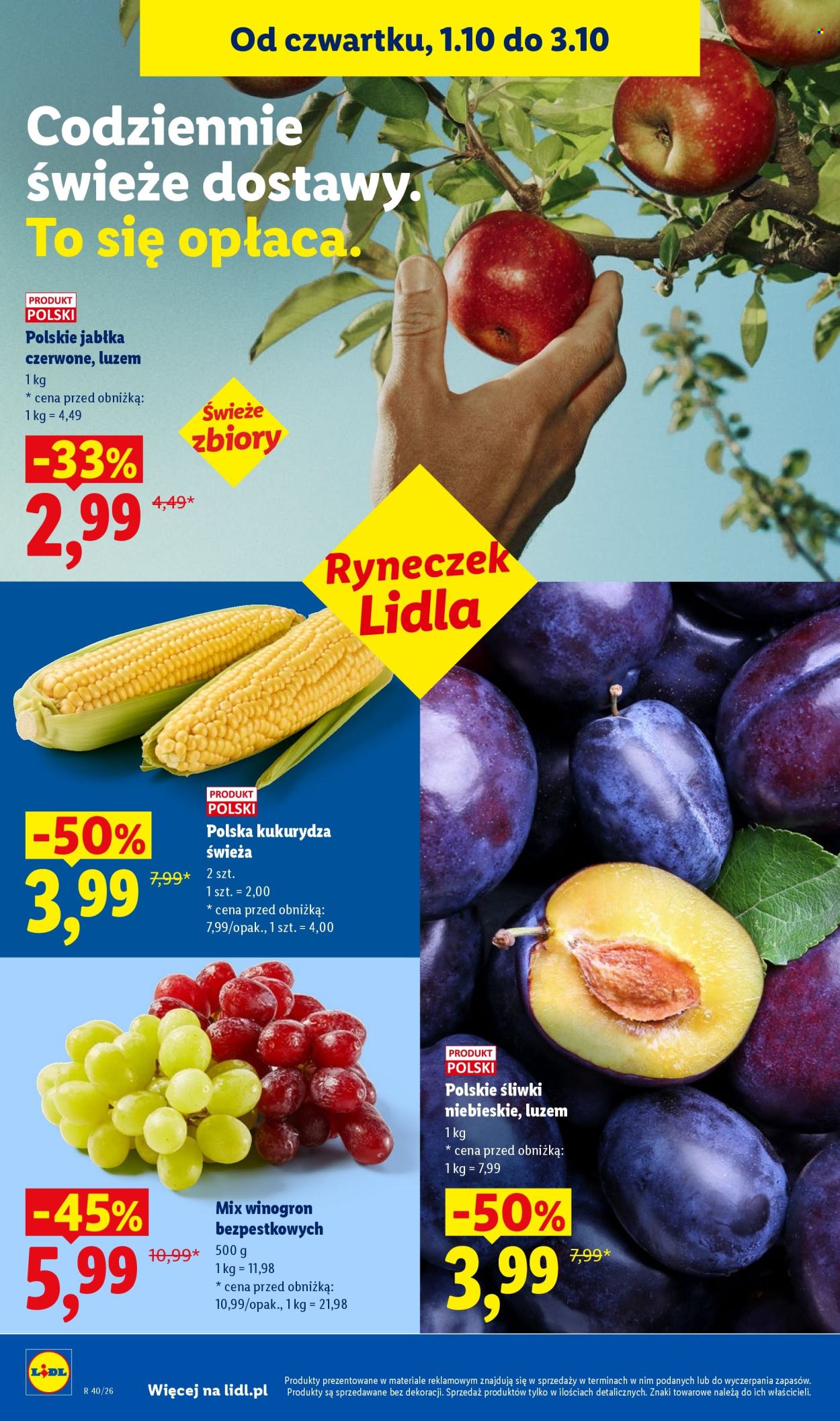 Gazetka Lidl - 1.10.2026. - 3.10.2026.. Strona 48