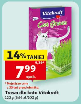 Trawa dla kota Vitakraft