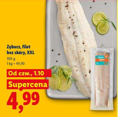 Zębacz, filet bez skóry, XXL