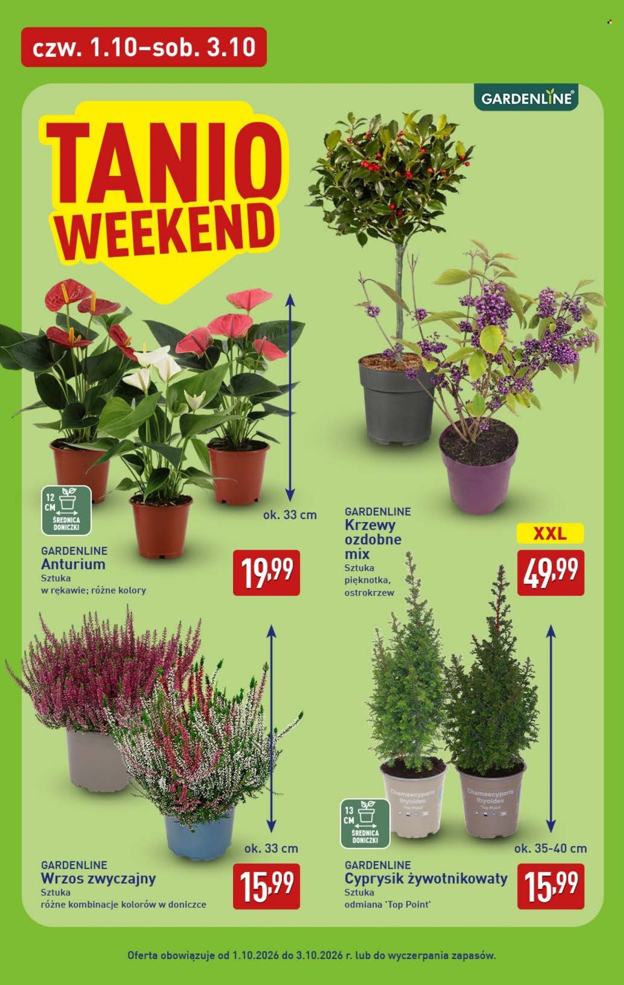 Gazetka ALDI - 1.10.2026. - 3.10.2026.. Strona 6