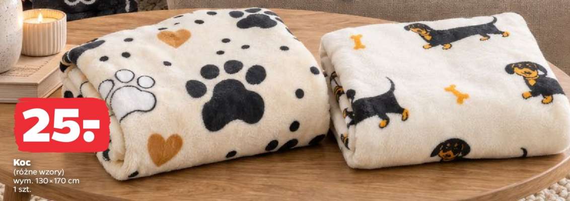 Koc