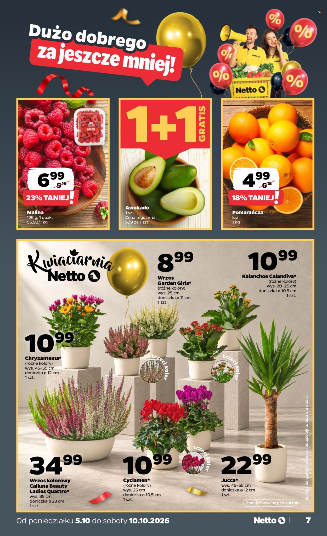Gazetka Netto - 5.10.2026. - 10.10.2026.. Strona 7