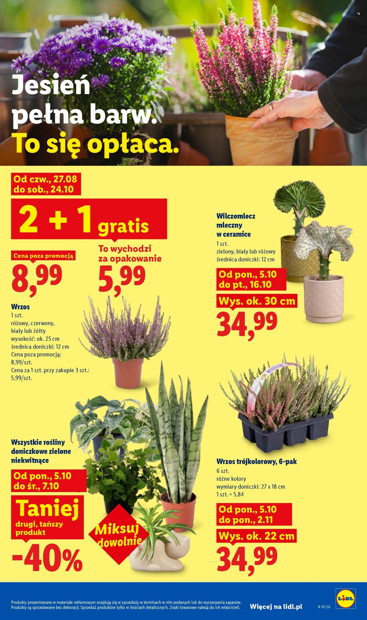 Gazetka Lidl - 5.10.2026. - 10.10.2026.. Strona 89