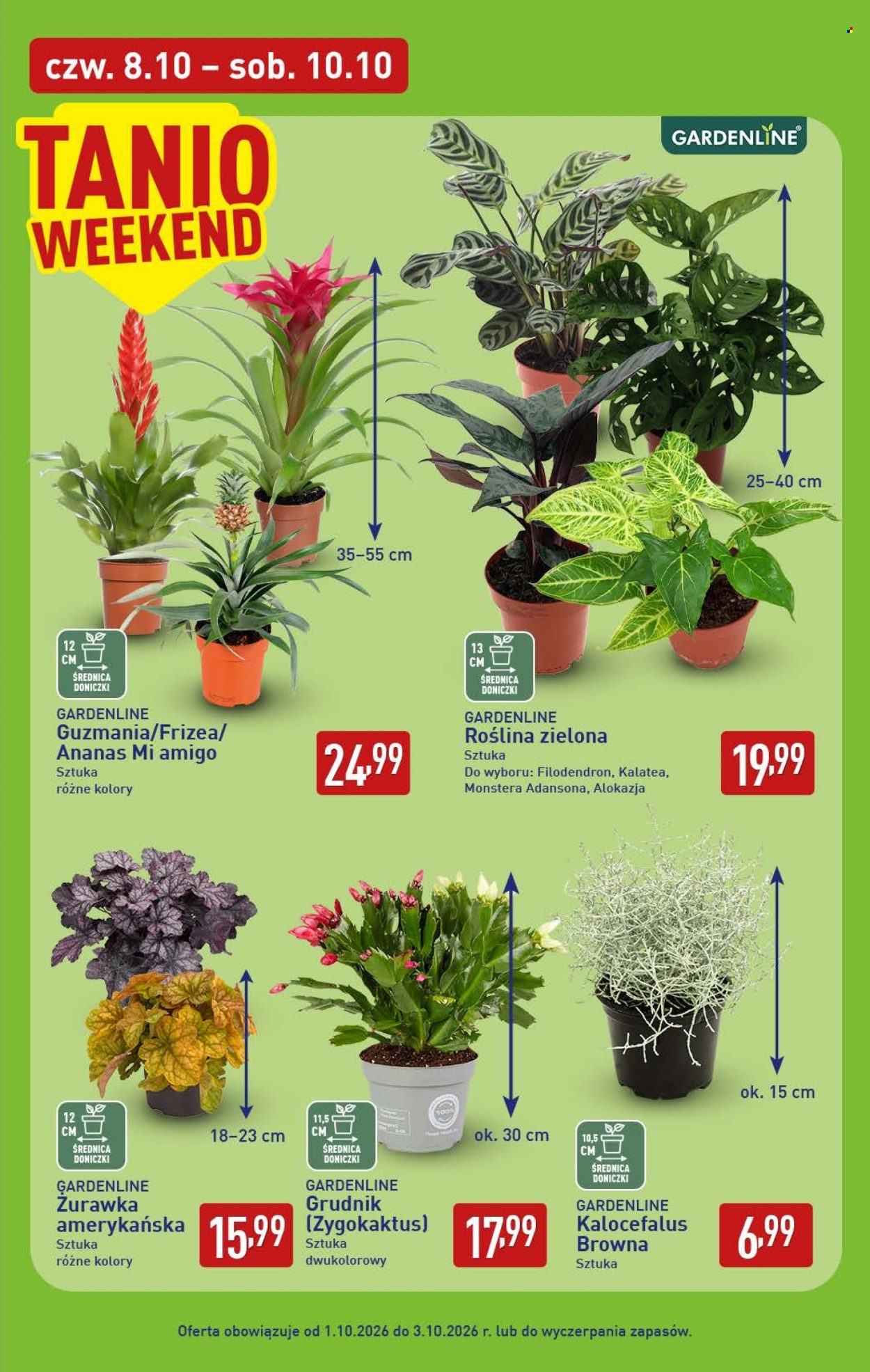 Gazetka ALDI - 5.10.2026. - 10.10.2026.. Strona 39