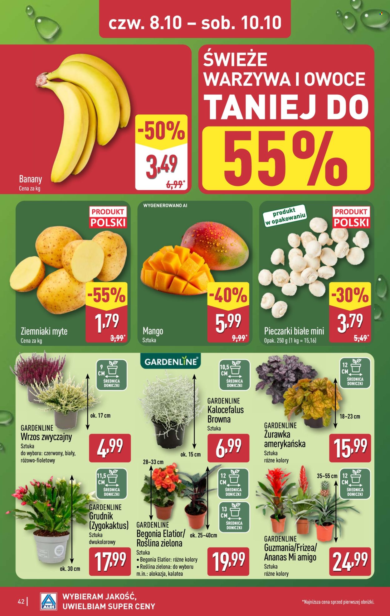 Gazetka ALDI - 5.10.2026. - 10.10.2026.. Strona 42