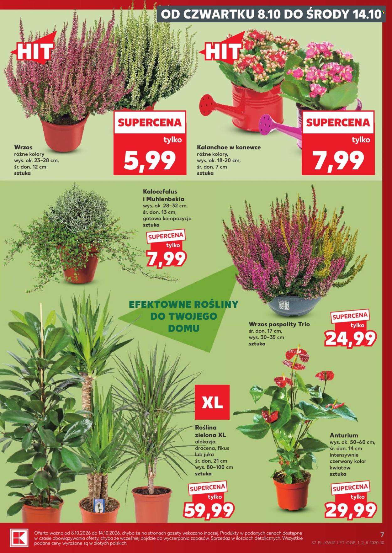 Gazetka Kaufland - 8.10.2026. - 14.10.2026.. Strona 7