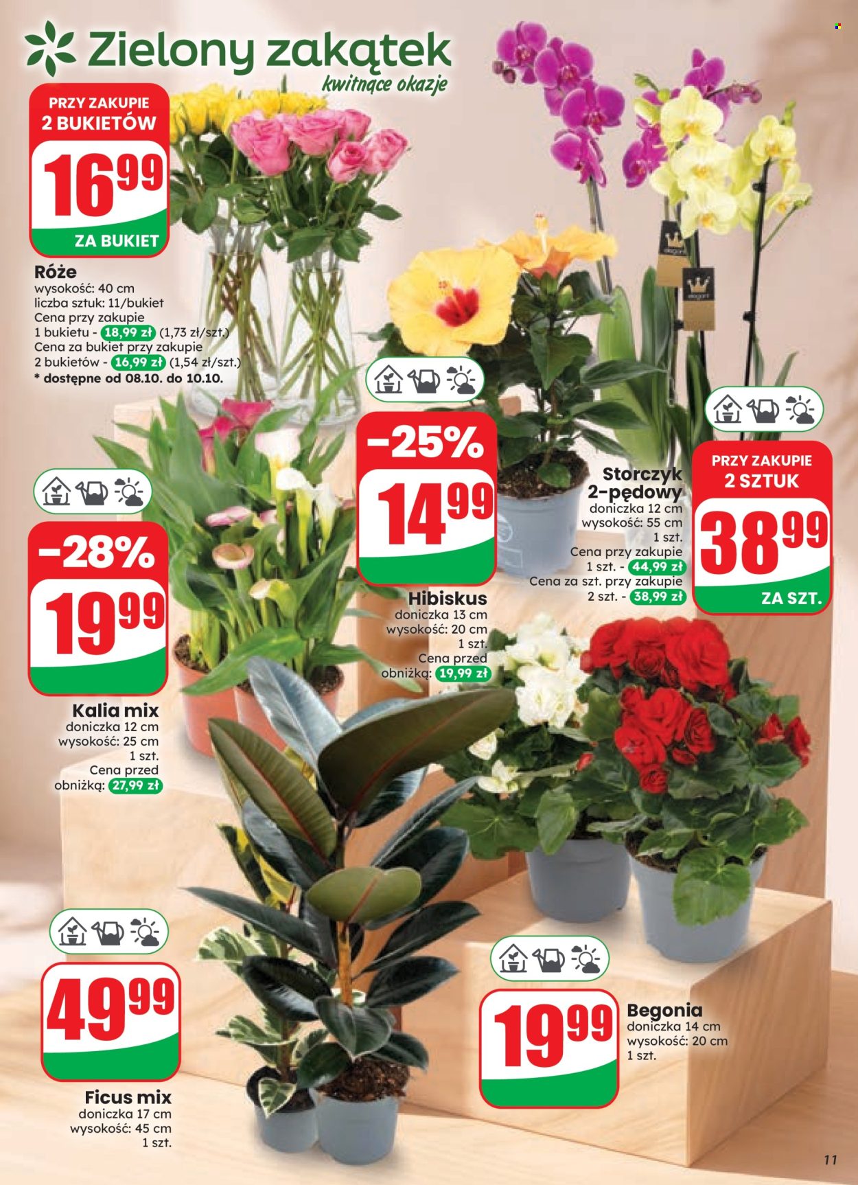 Gazetka Dino - 7.10.2026. - 13.10.2026.. Strona 11