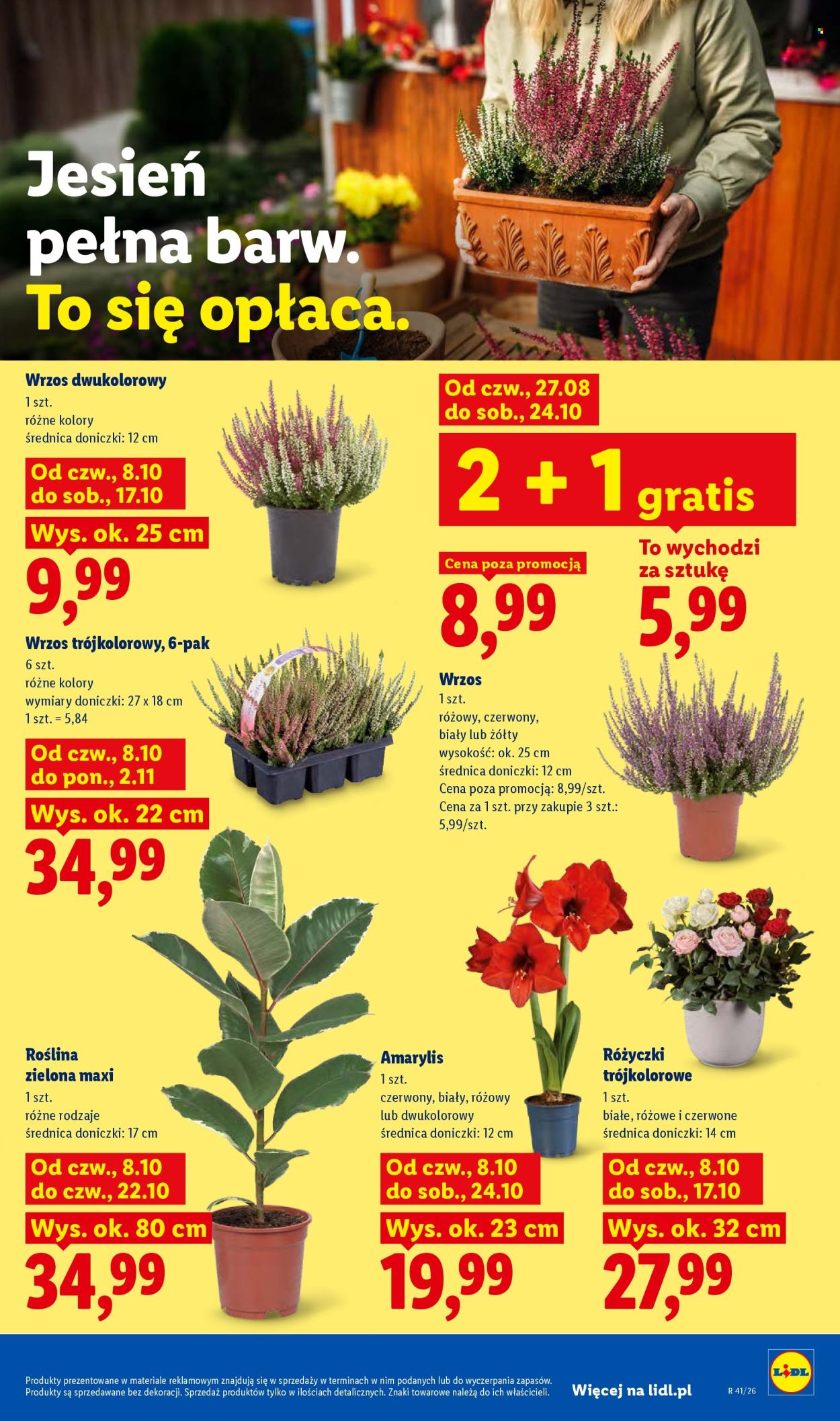 Gazetka Lidl - 8.10.2026. - 10.10.2026.. Strona 85