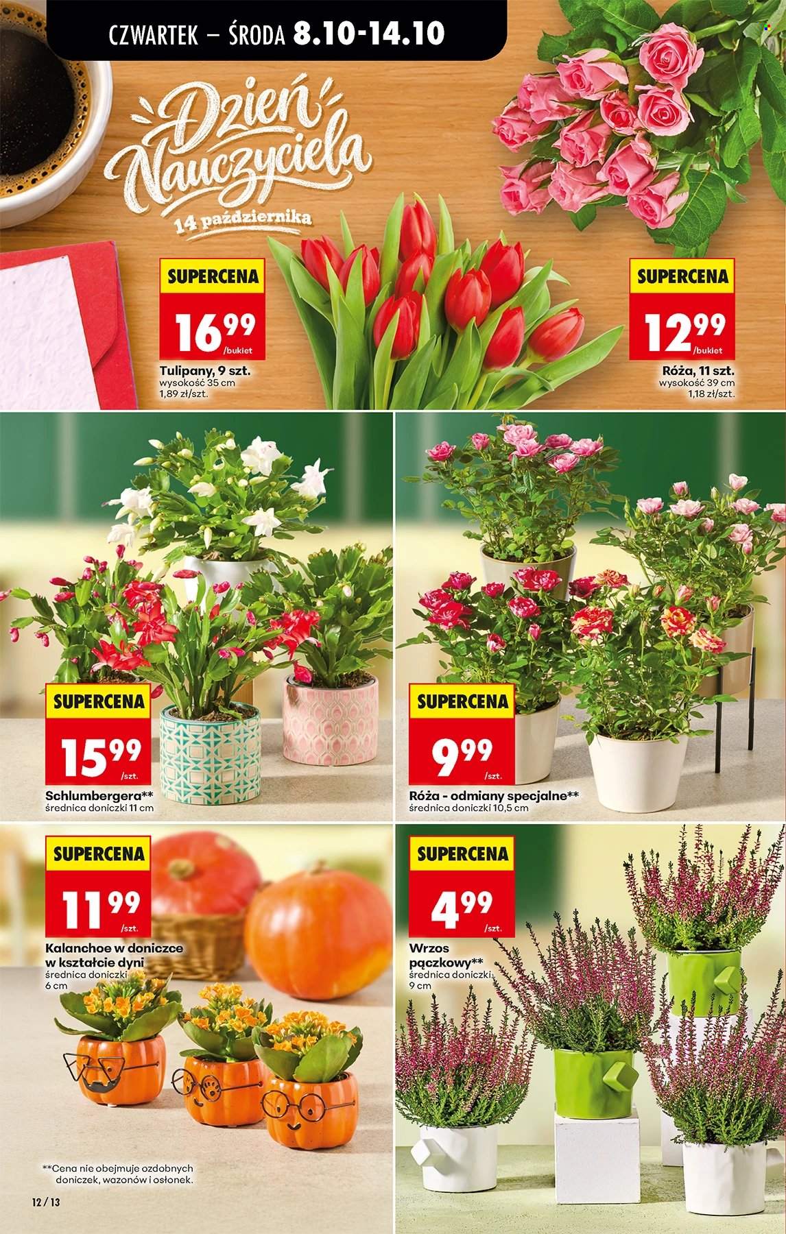 Gazetka Biedronka - 8.10.2026. - 14.10.2026.. Strona 12