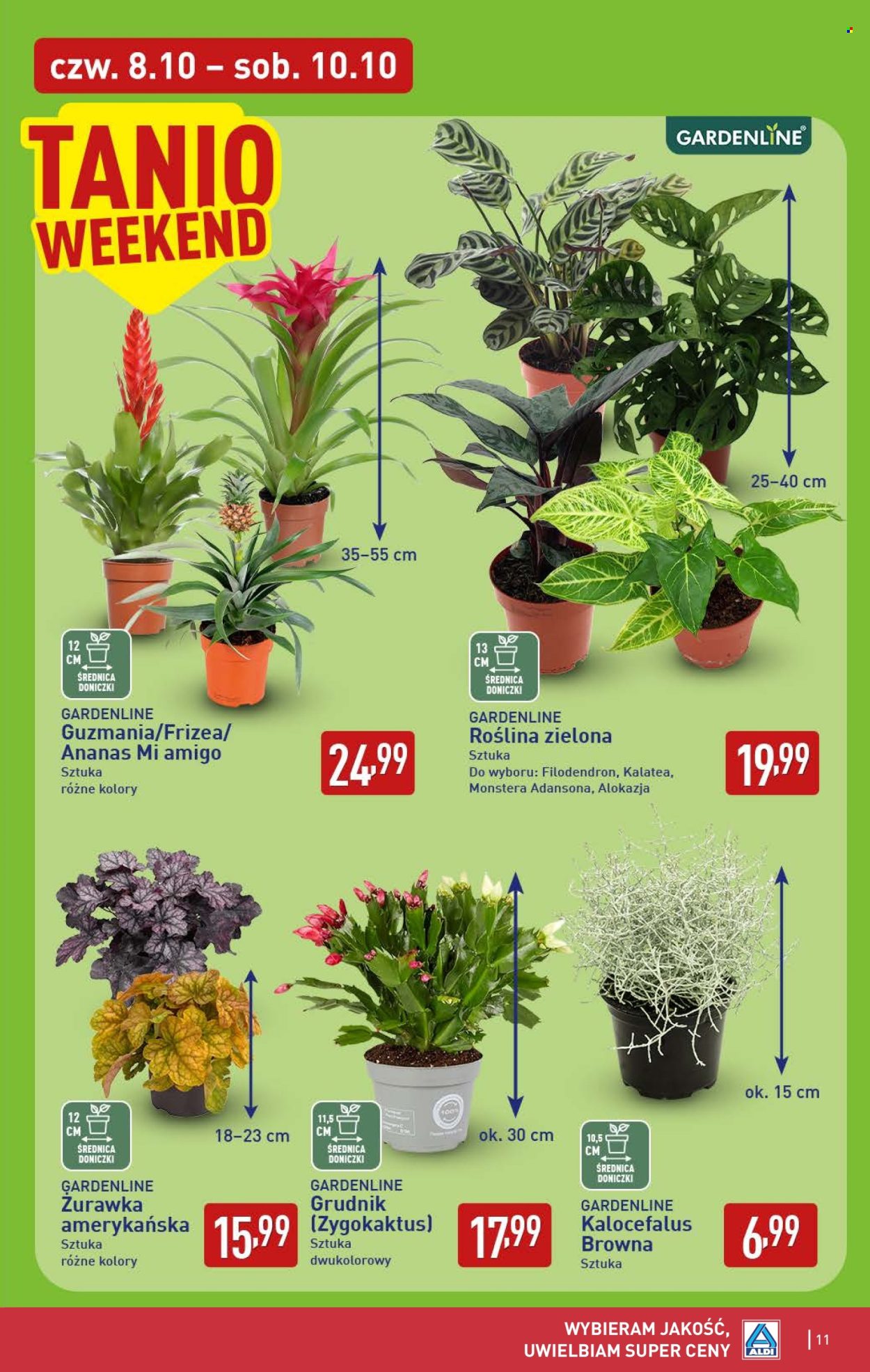 Gazetka ALDI - 8.10.2026. - 10.10.2026.. Strona 11