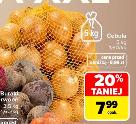 Cebula