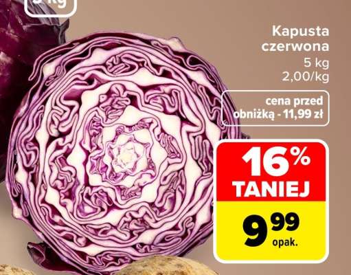 Kapusta czerwona