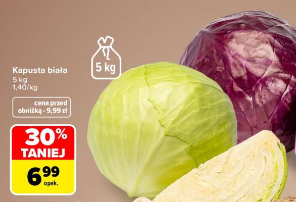 Kapusta biała