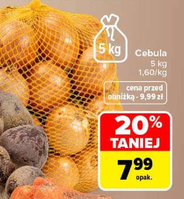 Cebula