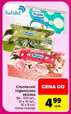 Chusteczki higieniczne REGINA