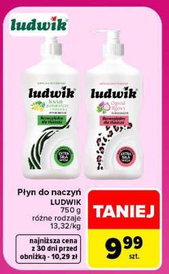 Płyn do naczyń Ludwik